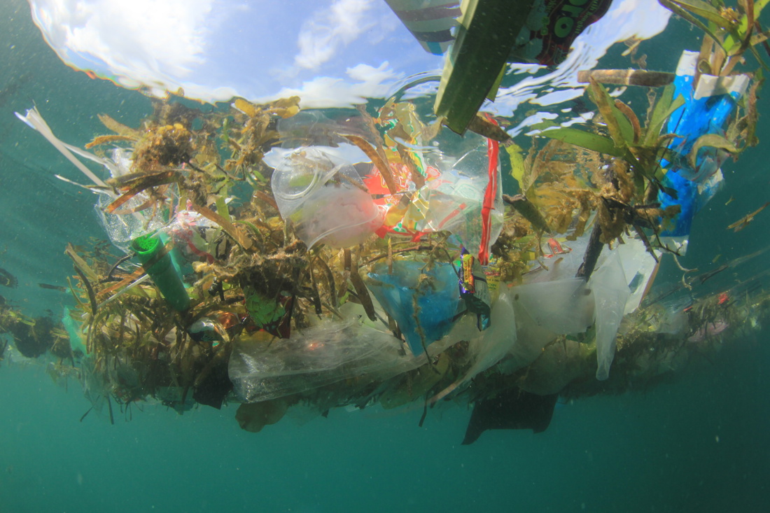 Ocean plastic pollution