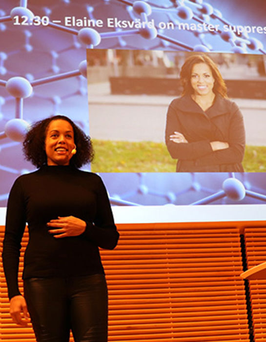 Elaine Eksvärd presented methods to master suppression techniques at the Graphene Flagship's Women in Graphene and Science workshop.