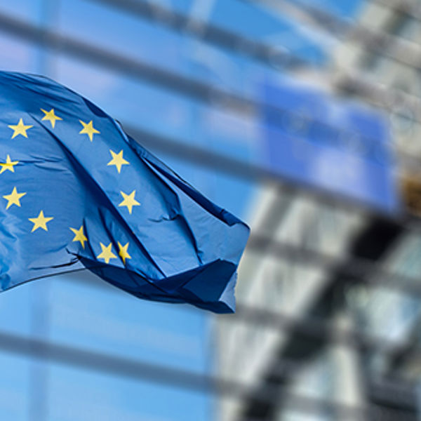 European Union flag