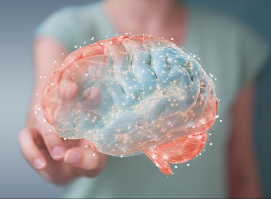Inbrain brain