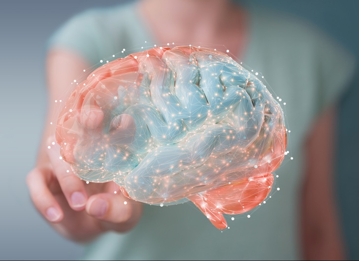 Inbrain brain