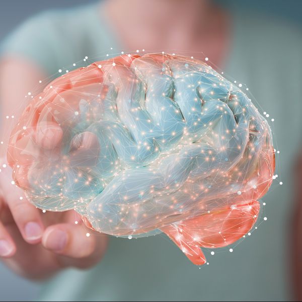 Inbrain brain