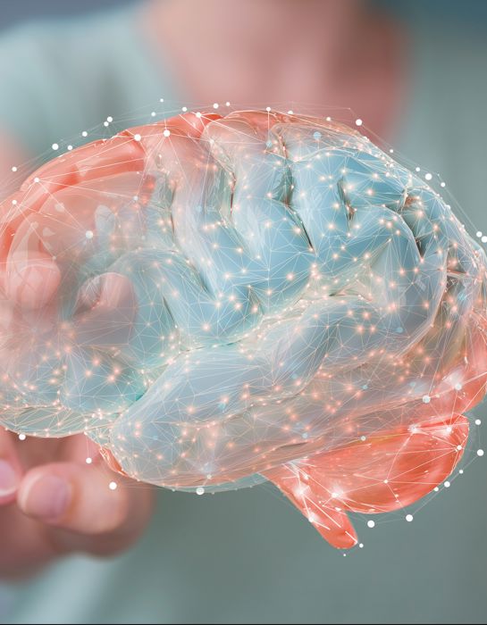 Inbrain brain