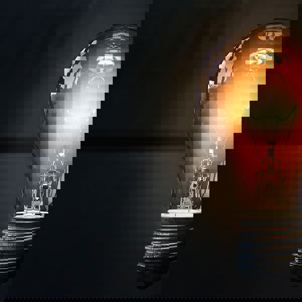light bulb