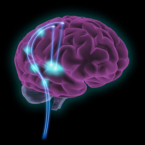 Flexible graphene-based neural probes improve epilepsy detection