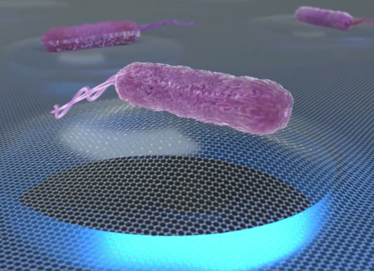 An artistic depiction of a single bacterium on a graphene membrane